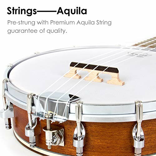 Banjo with Aquila strings and wooden bridge