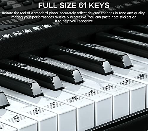 Close-up of full size 61-key keyboard with labeled keys.