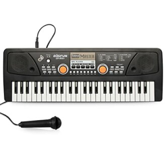 Raimy 49 Keys Piano Keyboard