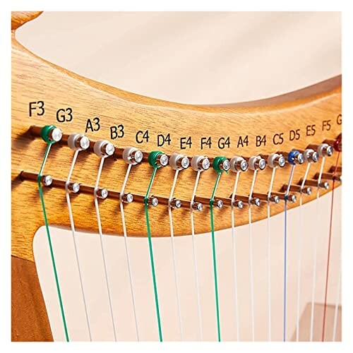 Close-up of a lyre with labeled tuning pegs and strings.
