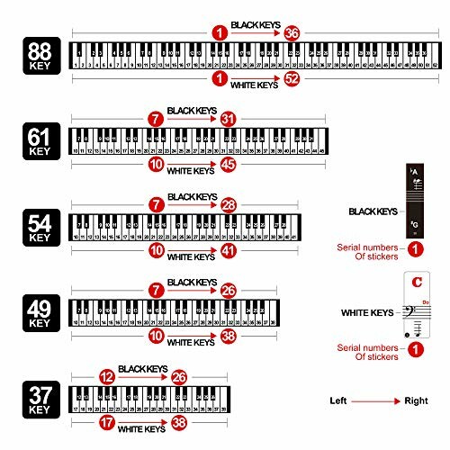 Diagram comparing 88, 61, 54, 49, and 37 key keyboards with black and white key labels.