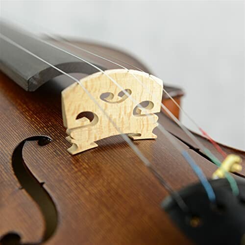 Close-up of a violin bridge and strings.