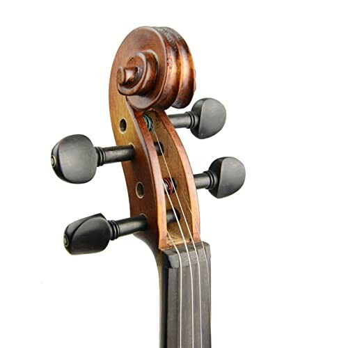 Close-up of a violin scroll and tuning pegs.