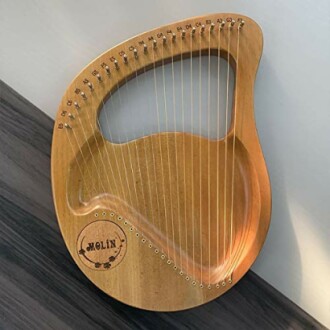 24 String Mahogany Solid Wood String Instrument